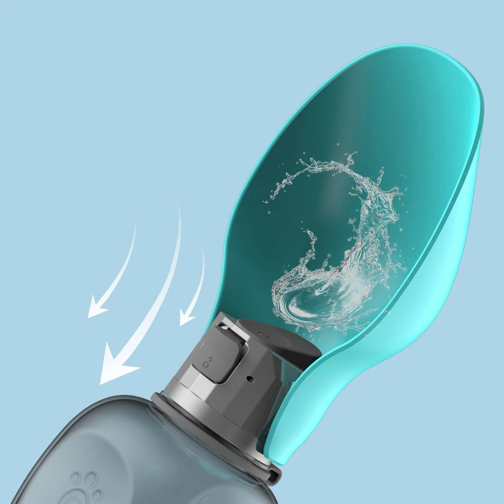 Portable Water Bottle For Outdoor Adventures