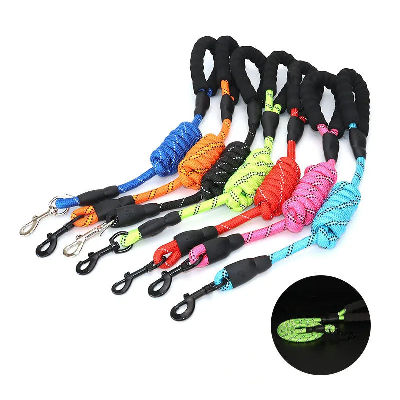Pet Leash