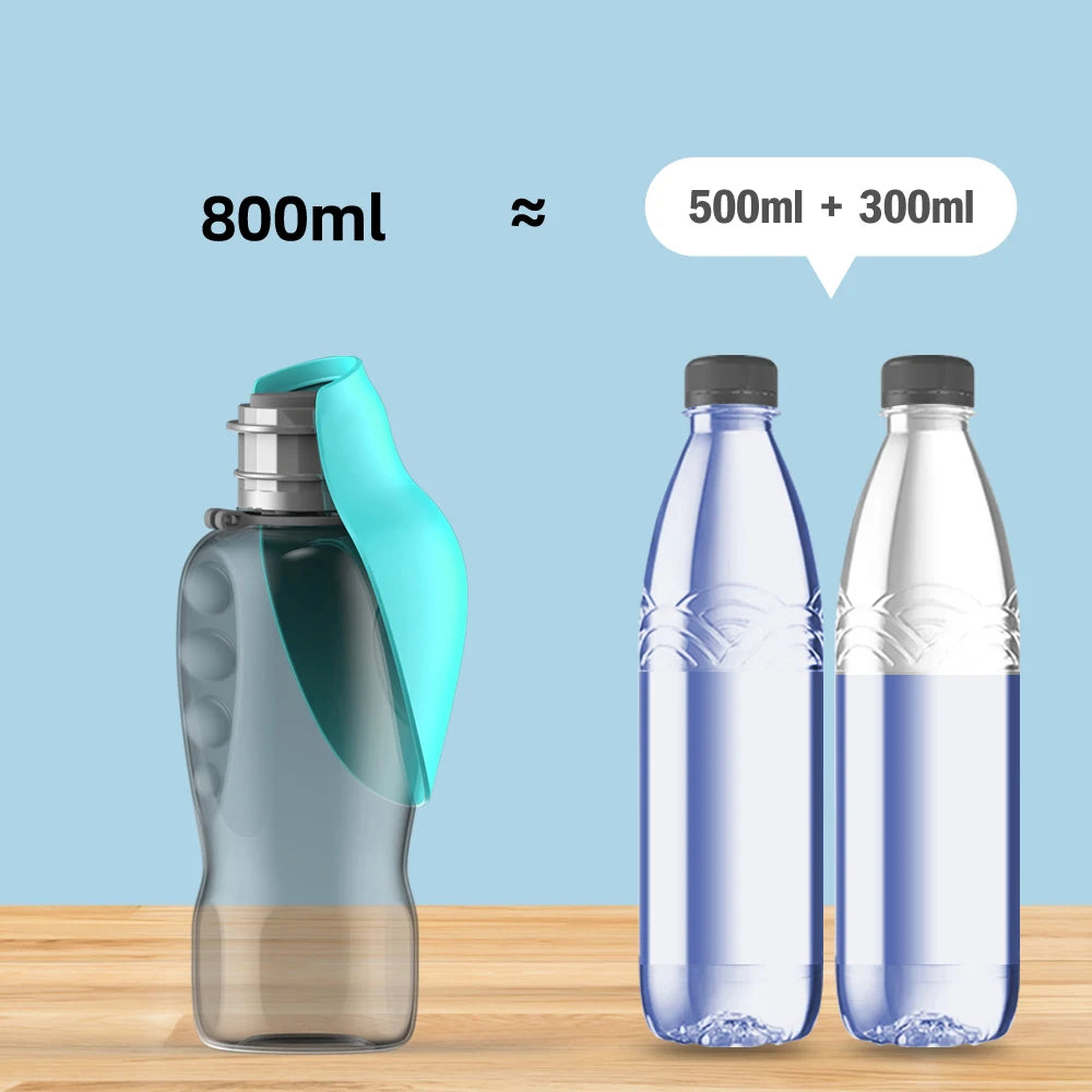 Portable Water Bottle For Outdoor Adventures
