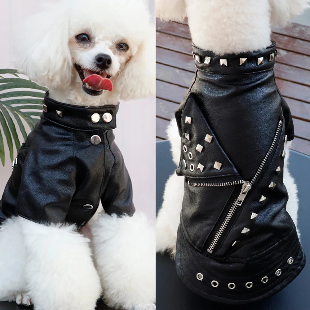 Cool Leather Jacket For Your Rebel Fur Ball