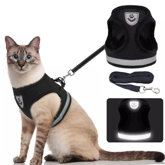 Harness For Cats And Puppies