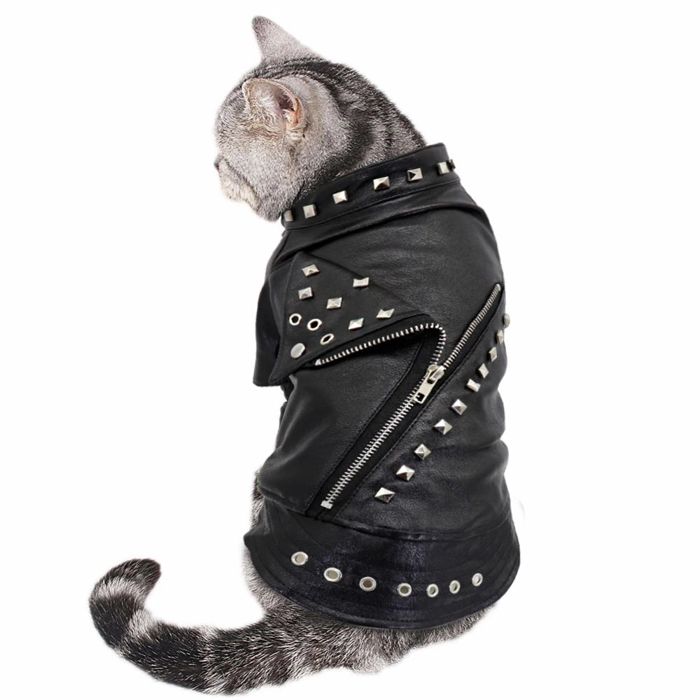 Cool Leather Jacket For Your Rebel Fur Ball