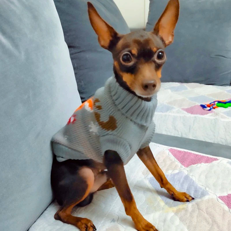 Cute Pet Dog Sweater