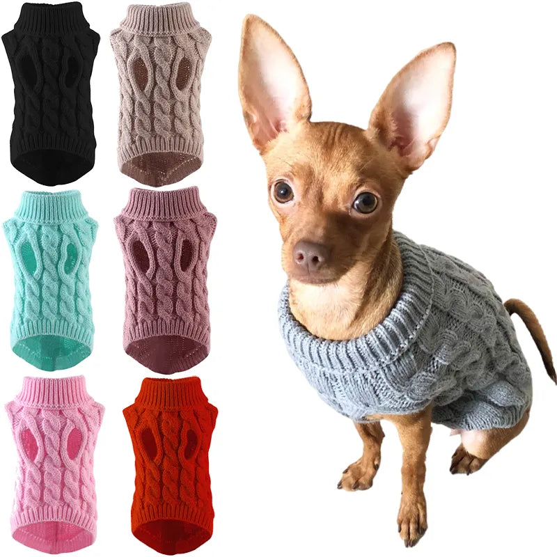 Super-cute puppy Dog Sweater