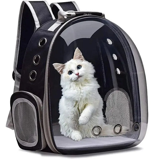 Travel With Your Cat In Style