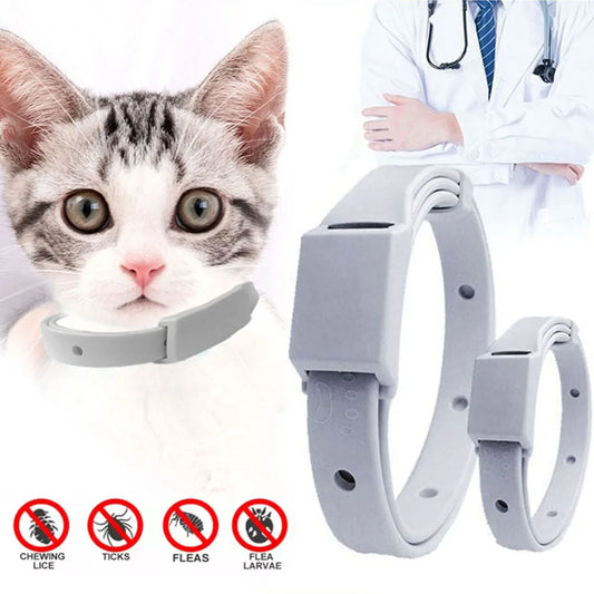 Protect Your Furry Friend With This Anti-Flea And Tick Collar