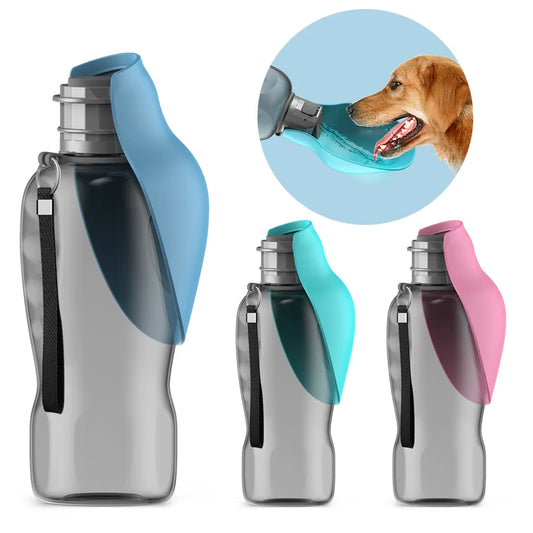 Portable Water Bottle For Outdoor Adventures