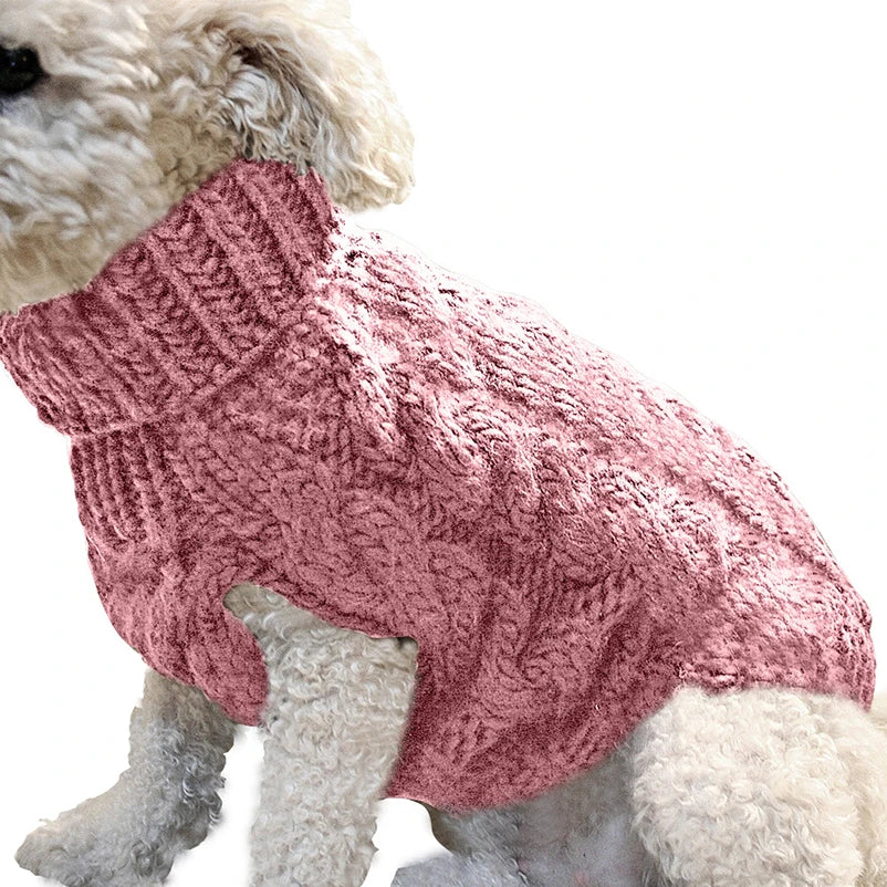 Super-cute puppy Dog Sweater